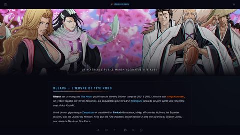 Aperçu du site Ichigo Bleach